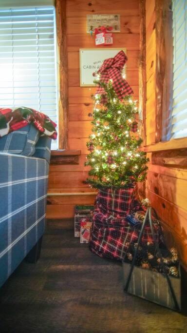 Charming Lakeview Cabin Near Geneva-On-The-Lake! Ashtabula Exteriér fotografie